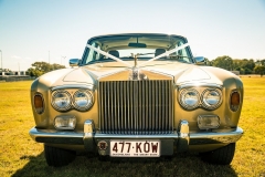 Gold-roller-4