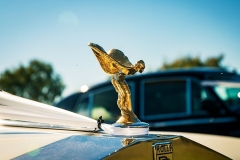 Roller-bonnet-1