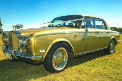 gold-roller